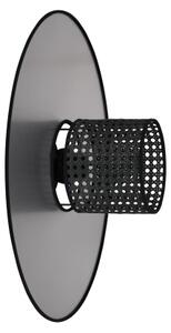 Duolla - Nástenné svietidlo TOKYO RATTAN 1xE27/15W/230V pr. 50 cm strieborná/čierna