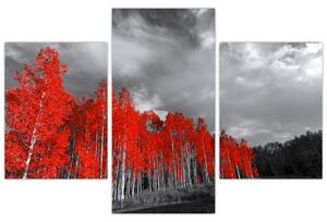 Červený les - moderný obraz (Obraz 90x60cm)