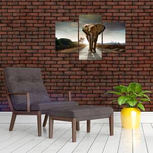 Obraz kráčajúceho slona (Obraz 90x60cm)
