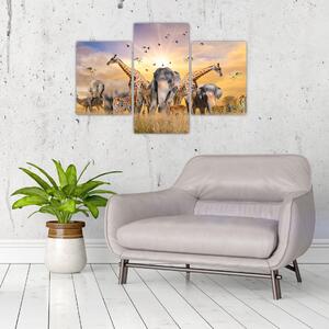 Obraz - safari (Obraz 90x60cm)