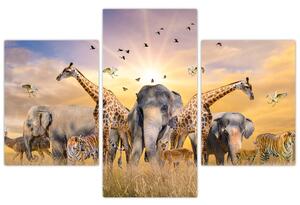 Obraz - safari (Obraz 90x60cm)