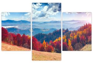 Obraz jesennej prírody (Obraz 90x60cm)
