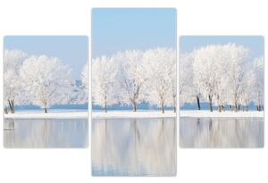 Obraz - zimná príroda (Obraz 90x60cm)