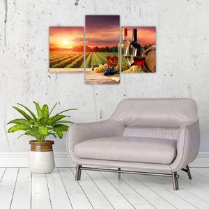 Obraz - víno a vinice pri západe slnka (Obraz 90x60cm)