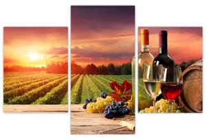 Obraz - víno a vinice pri západe slnka (Obraz 90x60cm)