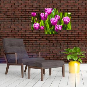 Obraz kvitnúcich tulipánov (Obraz 90x60cm)