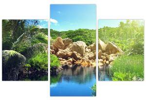 Obraz jazera na Seychelách (Obraz 90x60cm)