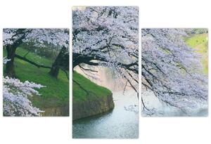 Obraz kvitnúcich stromov (Obraz 90x60cm)