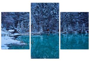 Obraz zimného jazera (Obraz 90x60cm)