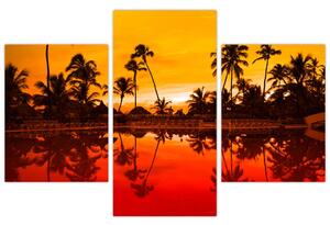 Obraz - tropická krajina (Obraz 90x60cm)