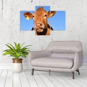 Obraz kravy (Obraz 90x60cm)