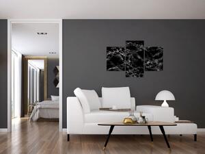 Čiernobiely mramor - obraz (Obraz 90x60cm)