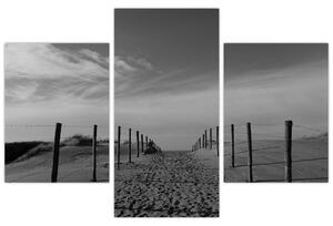 Obraz - cesta v piesku (Obraz 90x60cm)