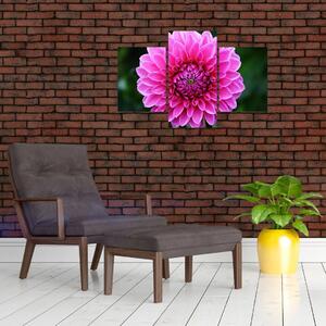 Obraz ružového kvetu (Obraz 90x60cm)