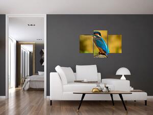 Obraz - farebný vták (Obraz 90x60cm)