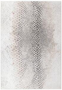 Osta Kusový koberec Piazzo 12263 910 - 80x140 cm