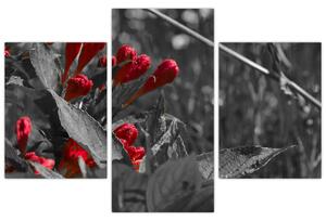 Červené kvety - moderné obrazy (Obraz 90x60cm)