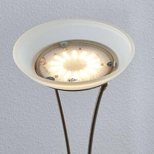 LED stojacia lampa osvetľujúca strop Amadou nikel