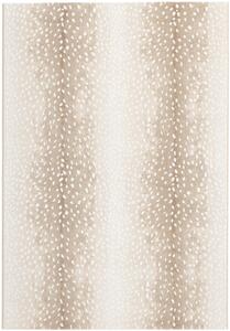 Osta Kusový koberec Piazzo 12265 100 - 80x140 cm