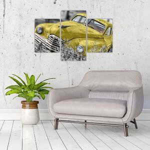 Obraz žltého autá na lúke (Obraz 90x60cm)