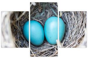 Obraz modrých vajíčok v hniezde (Obraz 90x60cm)