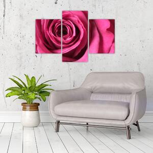 Obraz ružové ruže (Obraz 90x60cm)