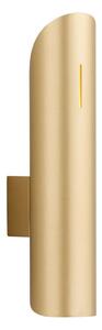 Argon 7177 - Nástenné svietidlo AKRON PLUS 2xG9/6W/230V zlaté