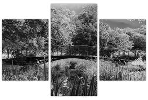 Čiernobiely most - obraz (Obraz 90x60cm)