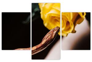 Obraz hada so žltou ružou (Obraz 90x60cm)