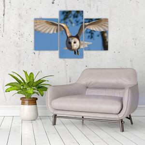 Obraz letiaci sovy (Obraz 90x60cm)