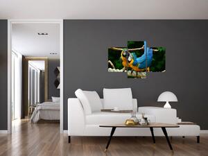 Obraz papagájov na lane (Obraz 90x60cm)