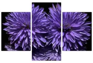 Obraz fialových kvetov (Obraz 90x60cm)