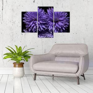 Obraz fialových kvetov (Obraz 90x60cm)