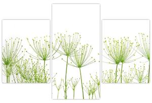 Obraz rastlín na bielom pozadí (Obraz 90x60cm)