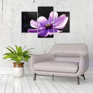 Obraz fialového kvetu (Obraz 90x60cm)