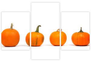 Obraz - oranžové tekvice (Obraz 90x60cm)