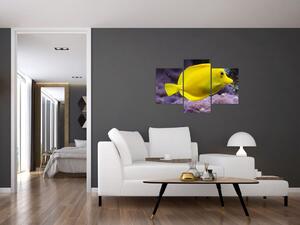 Obraz - žlté ryby (Obraz 90x60cm)