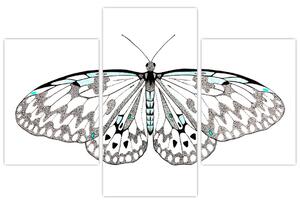 Čiernobiely motýľ (Obraz 90x60cm)