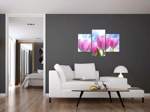 Obraz ružových tulipánov (Obraz 90x60cm)