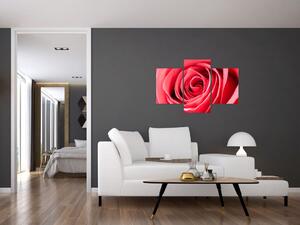 Obraz červené ruže (Obraz 90x60cm)