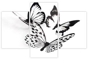 Obraz motýľov (Obraz 90x60cm)