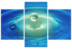 Obraz kvapky vody (Obraz 90x60cm)