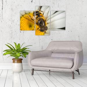 Obraz - detail včely (Obraz 90x60cm)