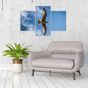 Obraz letiaceho vtáka (Obraz 90x60cm)