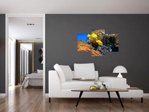 Podmorský svet - obraz (Obraz 90x60cm)
