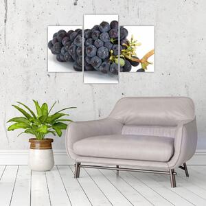 Obraz s hroznovým vínom (Obraz 90x60cm)