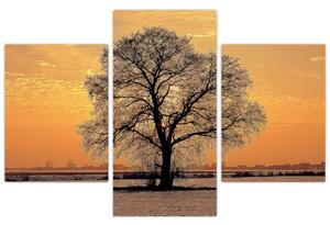 Obraz sa stromom (Obraz 90x60cm)