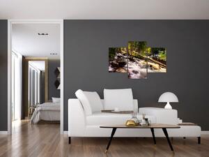 Obraz lesa na stenu (Obraz 90x60cm)