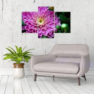 Obraz kvetu na stenu (Obraz 90x60cm)