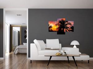 Obraz palmy na stenu (Obraz 90x60cm)